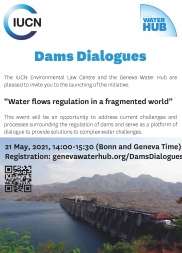 Flyer de l'initiative Barrages de l'UICN