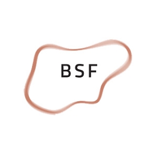 BSF logo JPG