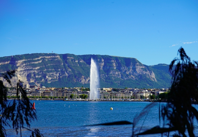 Geneva Water ful