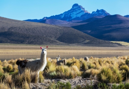 Bolivia